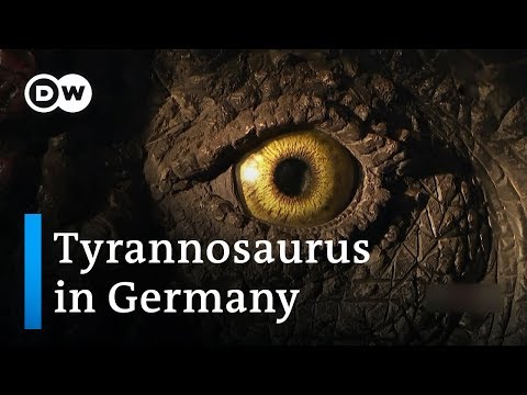A vila dos dinossauros | DW Documentário