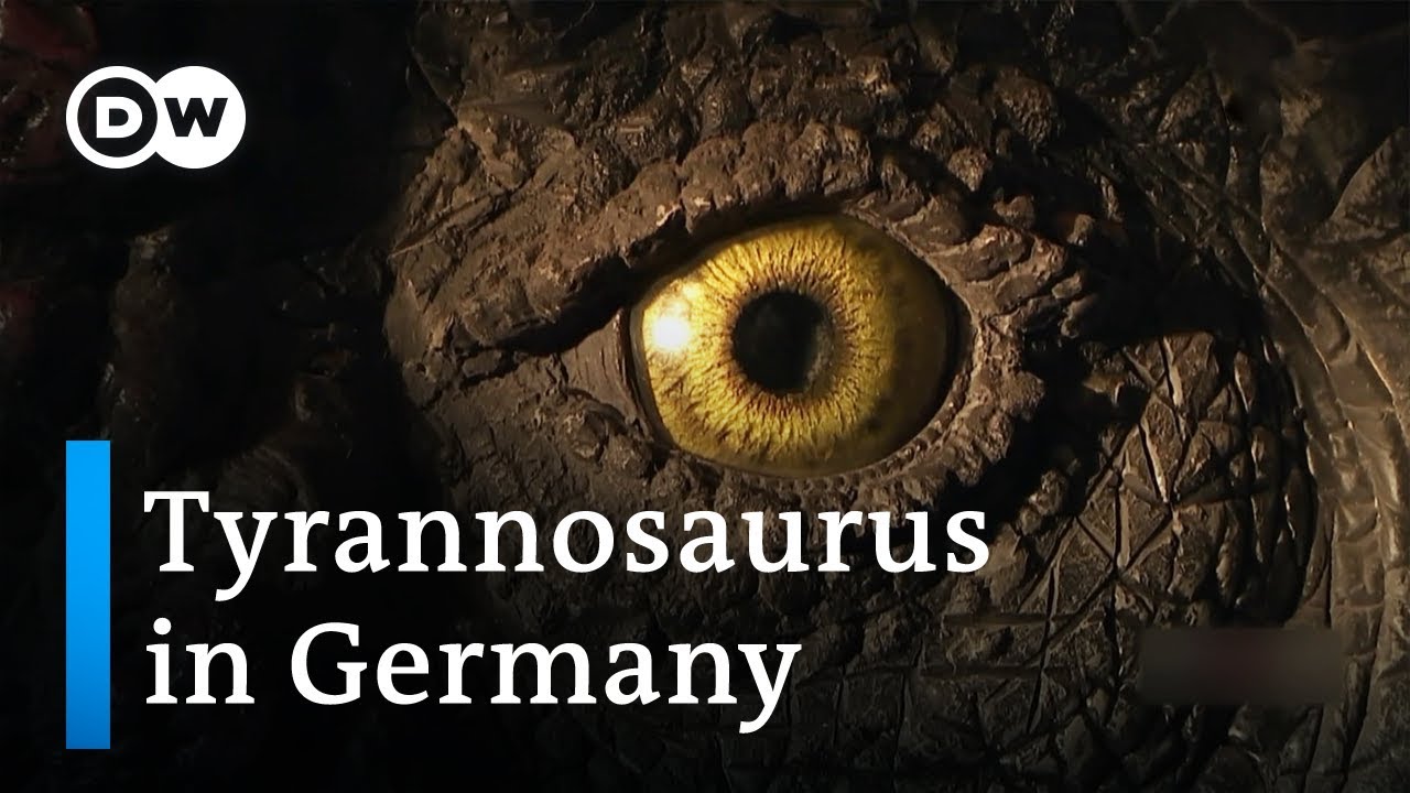The dinosaur village