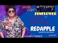 NAMAL UDUGAMA WITH SUNFLOWER Splash Night 2016 Redapplemusicofficial