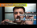 Августин на губной гармошке за 30 минут 