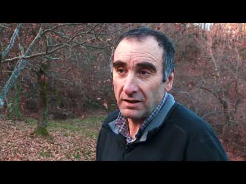 Lo castanhièr e l'agricultura de deman