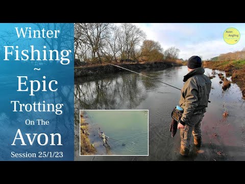 Fantastic River Fishing - My Best Avon Session EVER! - Trotting For Chub - 25/1/23 (Video 375)