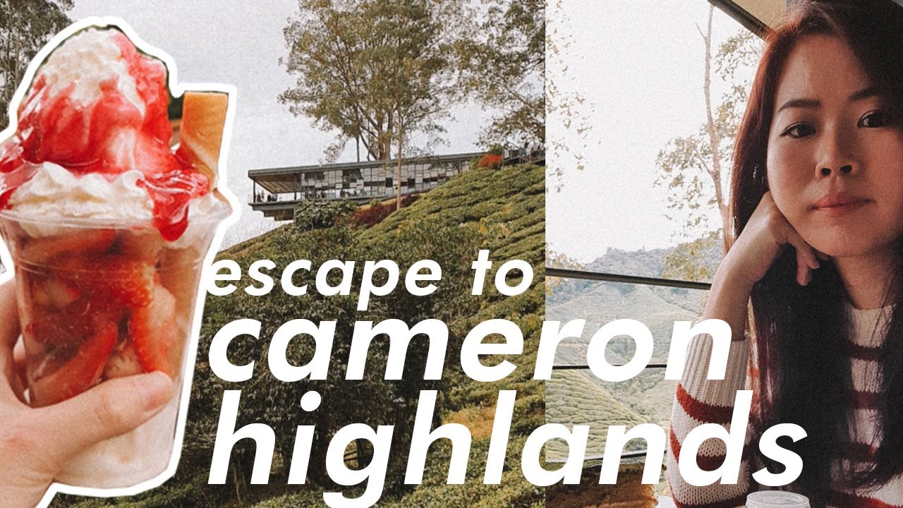 Alone Time Escapes | A Solo Weekend Trip to Cameron Highlands