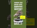 Worried Your Bonsai Won T Survive Winter Here S How To Protect It BonsaiCare WinterizingBonsai