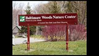 Baltimore Woods in Marcellus NY