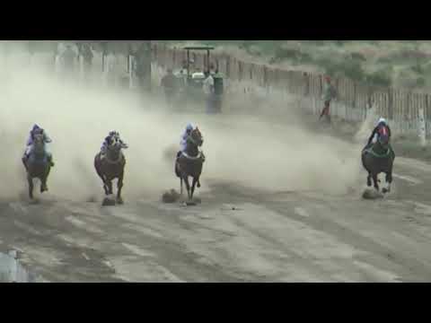 TONY  "Club Hipico Añelo"   - Añelo -  27-11-2022