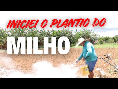 I started planting corn.