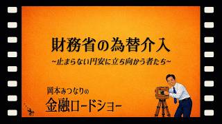 【切り抜き】財務省の為替介入 ～止まらない円安に立ち向かう者たち～ / 岡本みつなり