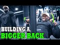 Building a BIGGER BACK