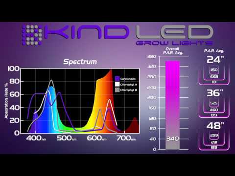 LED vs HPS - LED Grow Light Throwdown!