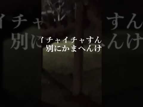 夜の公園でガキがエッチなことしてたので説教しようとするクズおじさん　＃高校生　#カップル　#クンニ　＃イチャイチャ