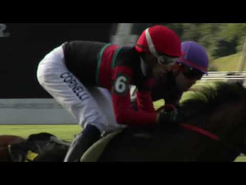 220529 c05 CARNAVALERO