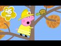 Peppa Rescues Tortoise In A TREE Peppa Pig Full Episodes 45 Minutes