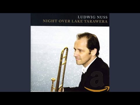 Night over Lake Tarawera