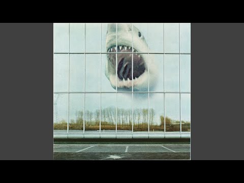 The Space of Your Mind - Black Mountain