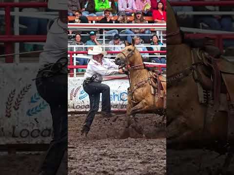 $1.55 million worth of mud on the tires #peso #horse