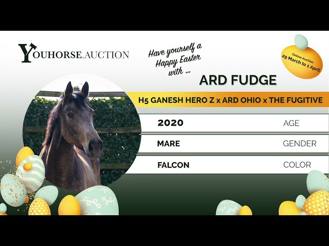 Ard Fudge loose jumping @ home