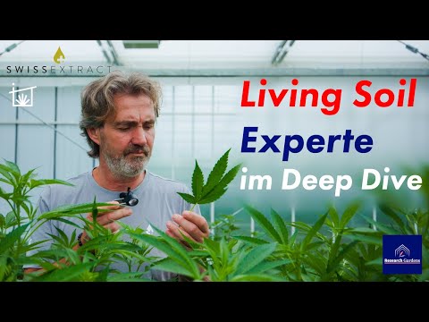 Living Soil Cannabis - Lernen vom Profi - biologisches Cannabis für????????Pilotprojekte von Swiss Extract