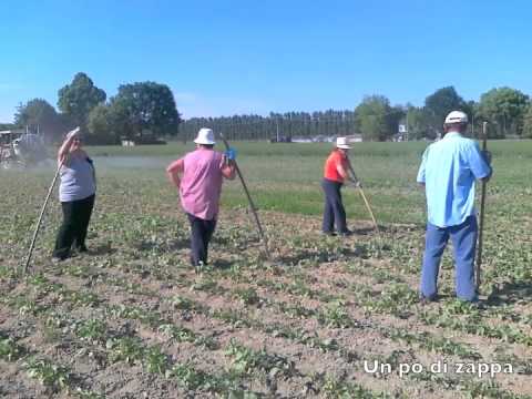 Malati mal di schiena che lo fanno Esperienza nel trattamento della lombalgia