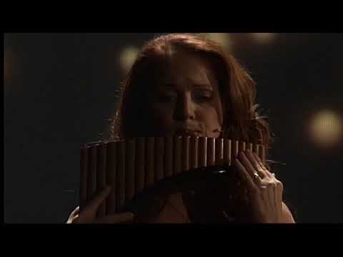 Cats- Memory - Petruta Küpper