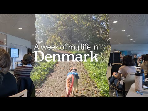 Student Life in Denmark 🇩🇰 | Master's, Tinder TV, Pubcrawl & My UX Journey