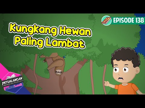 Mengenal Kungkang - Hewan Paling Lambat  - Ensiklopedia anak - PJL