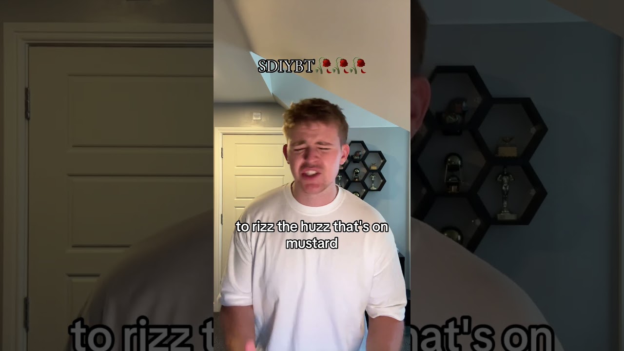 SDIYBT 🥀 #franksinatra #myway #brainrot #cover #sdiybt #meme #thosewhoknow #skibidi