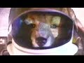 Star Fox SNES Commercial Retro Game Trailers