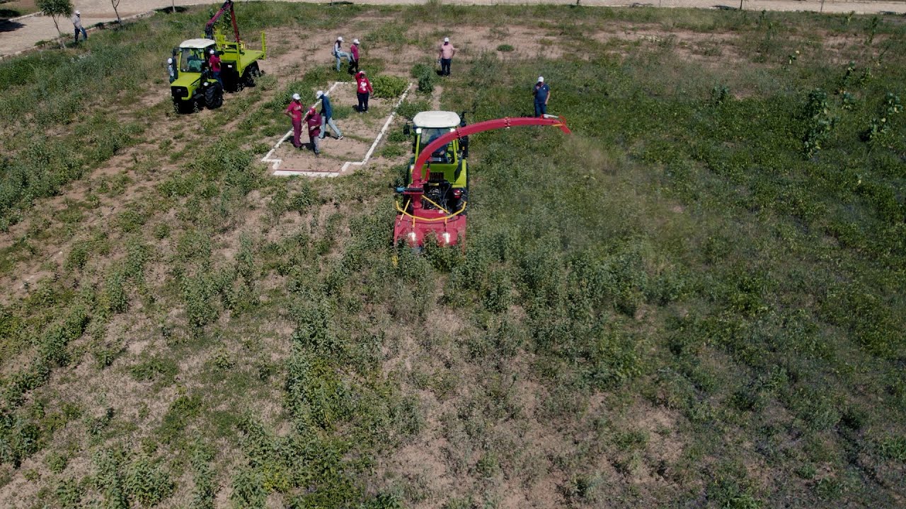 Projeto de mecanização da agricultura familiar promovido pela parceria entre Brasil e China