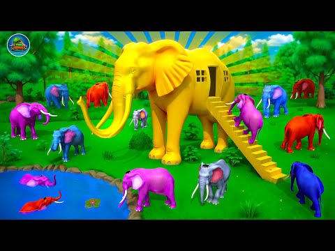 Golden Elephant House: Elephants vs Predators Lion Tiger Wolf | Animal Kingdom Movie
