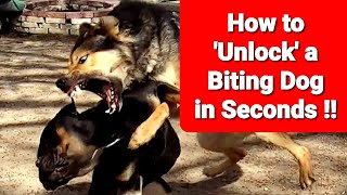Stop a Dog Fight Instantly - 'Unlock' a Biting Dog in SECONDS !!