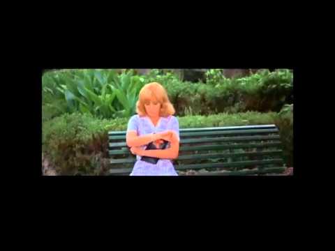 Four Flies Dressed to Kill