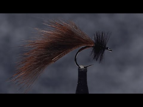 Landon Mayer's Mini-Leech