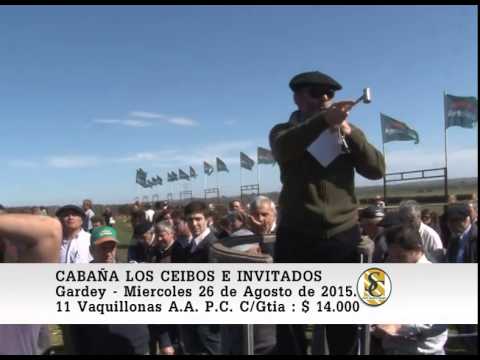 26-08-15 Venta de Vaquillonas P.C. - Cabaña Los Ceibos - Gardey.