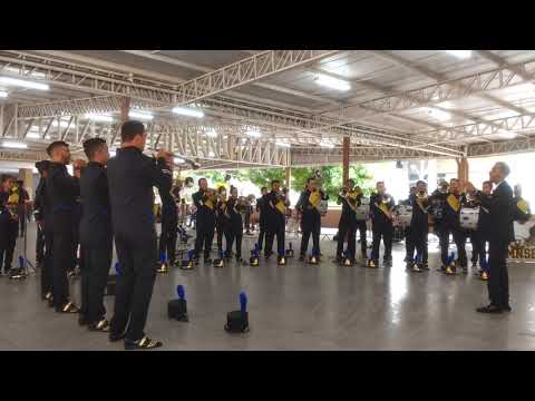 Campeonato paraense de banda 2019