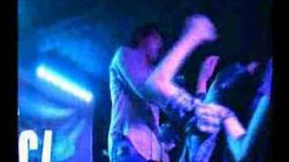 Dead Swans Black Flag Cover