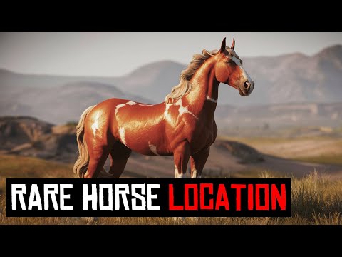 9 BEST HORSE LOCATION IN RDR2