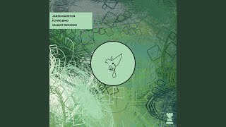 Flying Bird (Saint Collins &amp; Jared Marston Remix)