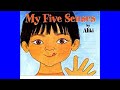 My Five Senses Read Aloud