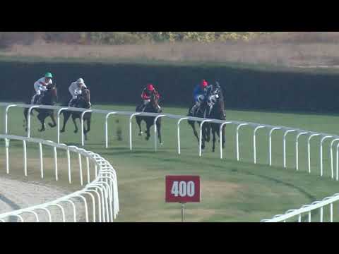 2019.10.27. 03. futam - DR. BARTHA LÁSZLÓ EMLÉKVERSENY - KEZDŐ LOVAK VERSENYE (IV.kat.)