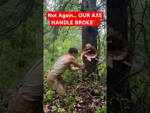 Not again! Our Axe handle broke! #axe #rehandle #logger #cabin #woodworking #lumberjack #bushcraft