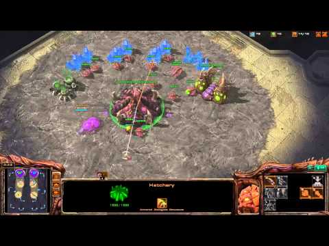 Destiny, CatZ play 2v2 [Game 2] - Starcraft 2 Ladder