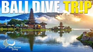 The Bali Dive Trip Review - Blue Horizon Diving Trip