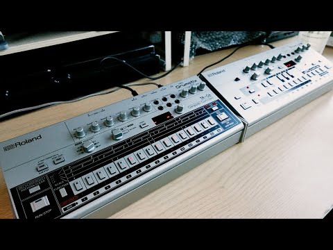 Roland TR-06 Sound Demo (with Roland TB-03, Elektron Syntakt) Neon Pulse