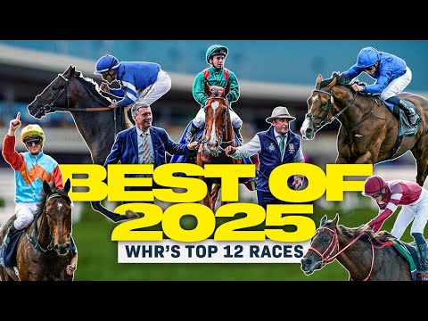 WHR이 선정한 2025년 최고의 레이스 12선!