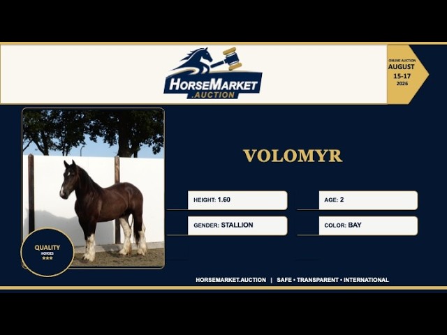 Volomyr