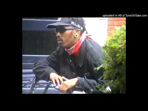 Ray Fuego - Shawtys in the back (bass boosted + pitched to perfection)