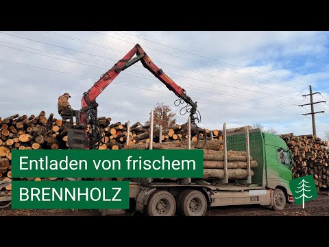 40 tons of timber transport at Feldberg – full load with Volvo FH 540 & firewood quality check