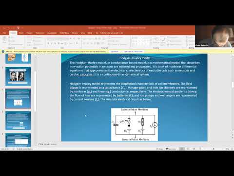 Hudgkin Huxley Model presented by Aria Li   Advanced Functions grade 12