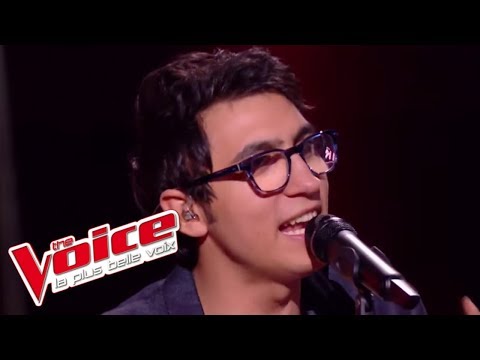 Vincent Vinel et Calogero - « Je joue de la musique » | The Voice 2017 | Live